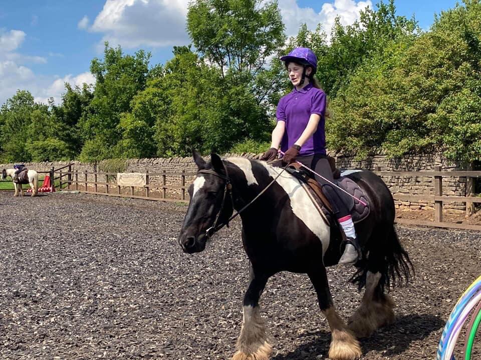 Coloured Cob Equestrian Centre tweet media