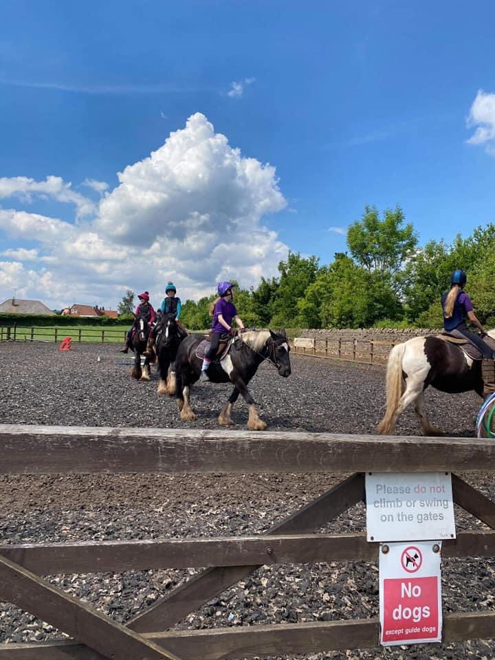 Coloured Cob Equestrian Centre tweet media