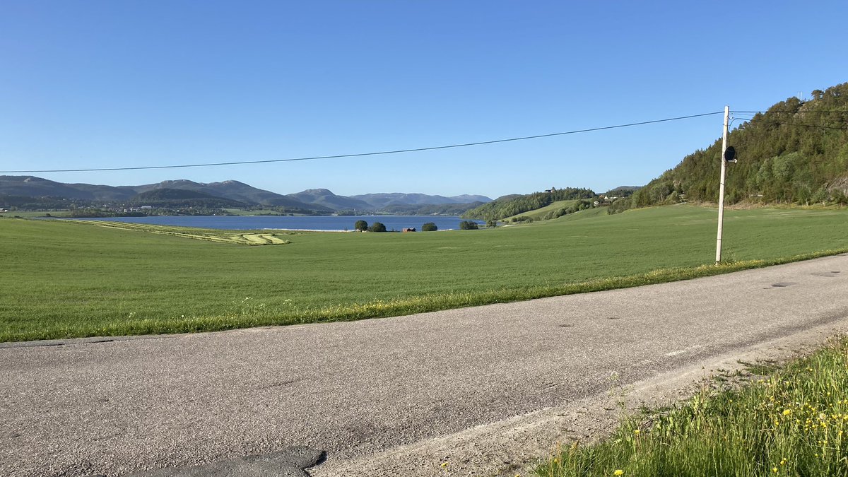 UrbangeoN's tweet photo. The area of the #Rissa 1978 #landslide as it is today. The landslide stopped at the #bedrock wall, at the transition from #farmland to #forest. #quickclay #Trøndelag #geology @NGUgeology https://t.co/PkehafxUXT