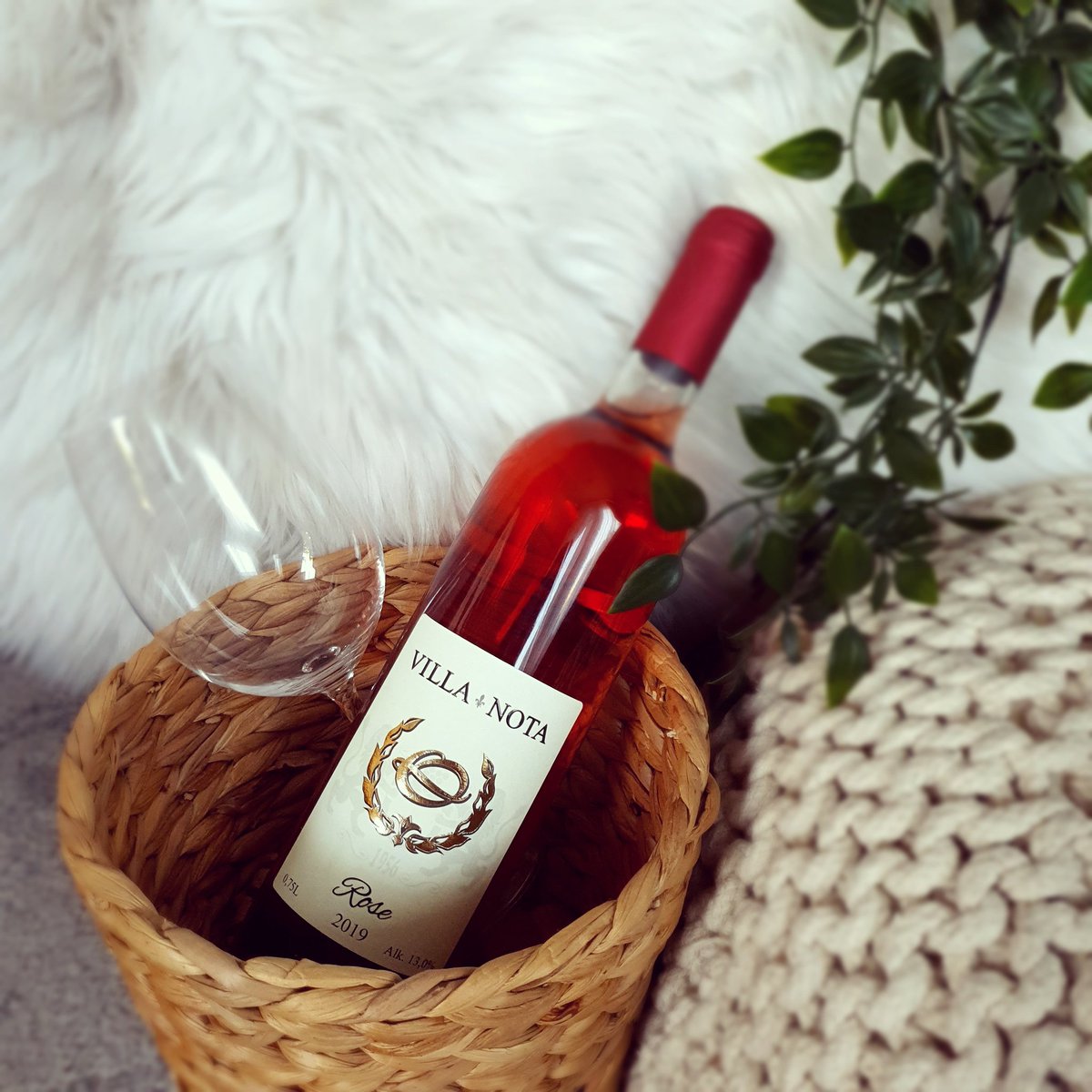 Naš predlog za sunčan vikend. 🍷🌼
------------
Our suggestion for a sunny weekend. 🍷🌼 #pikoplenac