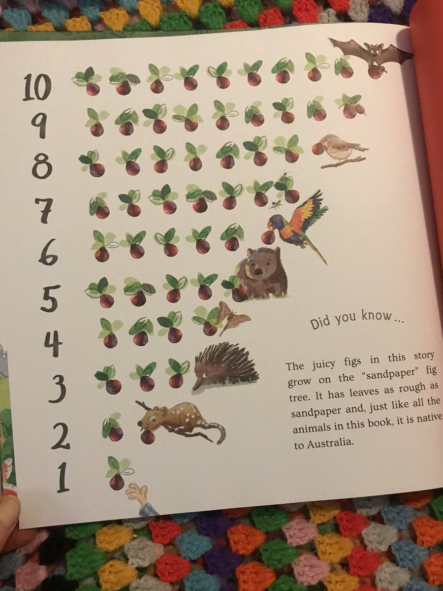 What has everyone been reading this weekend? My picture book weekend read is ‘Ten Little Figs’ by #RhianWilliams and #NathanielEckstrom . It is absolutely gorgeous. A fun count down , as the figs disappear! Some hungry Aussie animals are having a great feast! @WalkerBooksAus