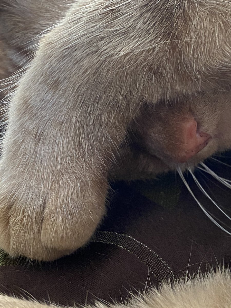 tired this morning !