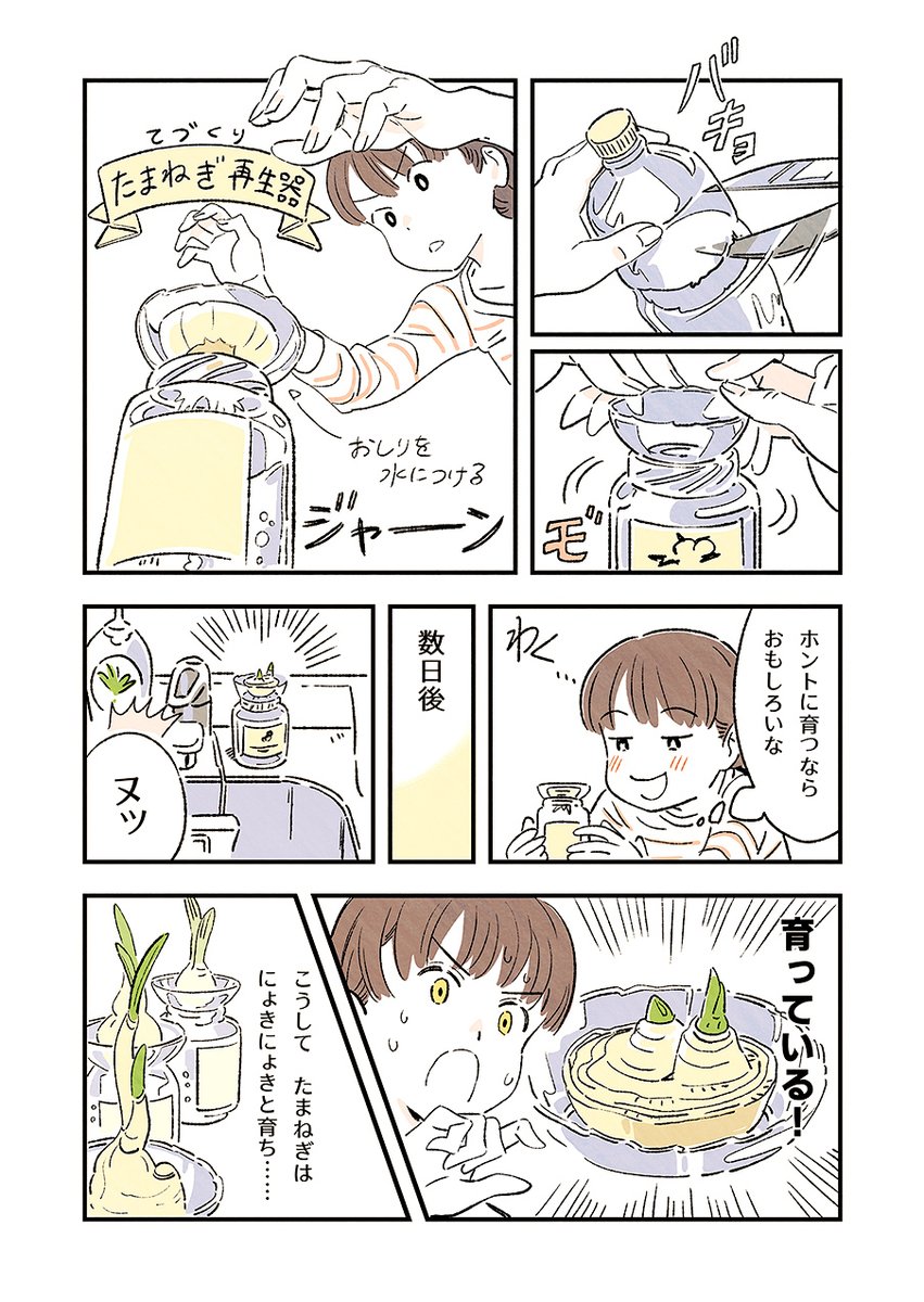 おうちにステェイ…中にたまねぎを再生(?)して食べてみた漫画です。 