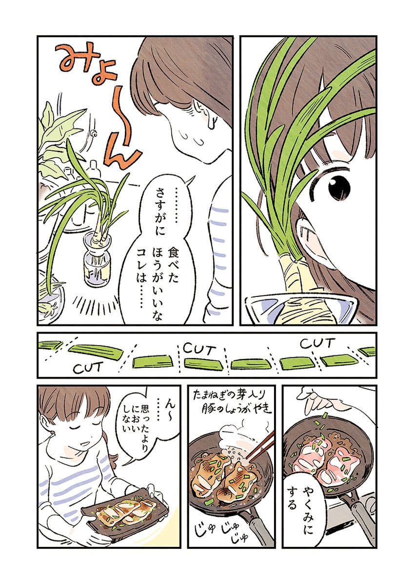 おうちにステェイ…中にたまねぎを再生(?)して食べてみた漫画です。 