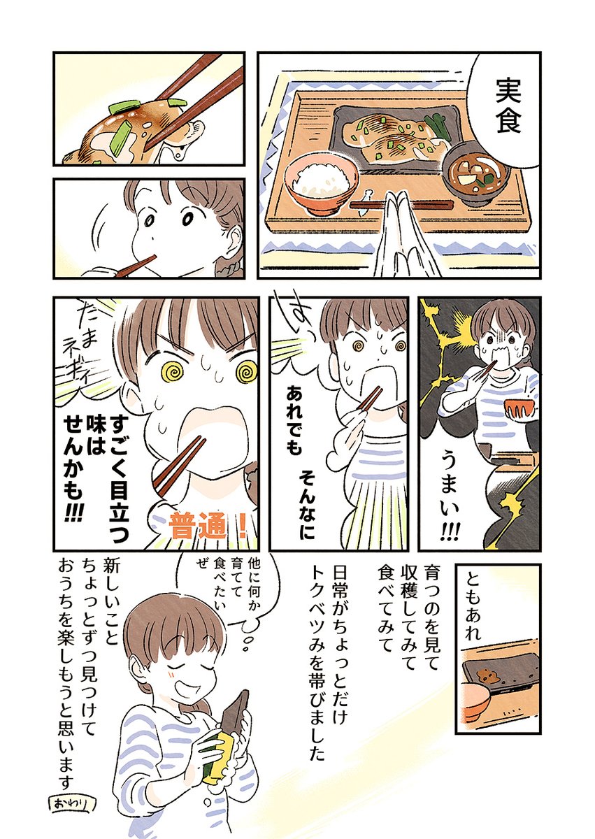 おうちにステェイ…中にたまねぎを再生(?)して食べてみた漫画です。 