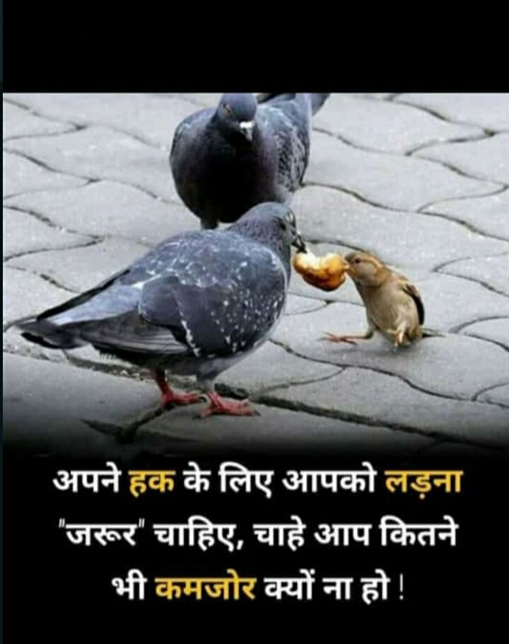AMITKUM75823713's tweet photo. @trackmanunity 
@indian_trackman एक नजर नीचे जरूर डाले और retweet करे https://t.co/OWWtndfN9I