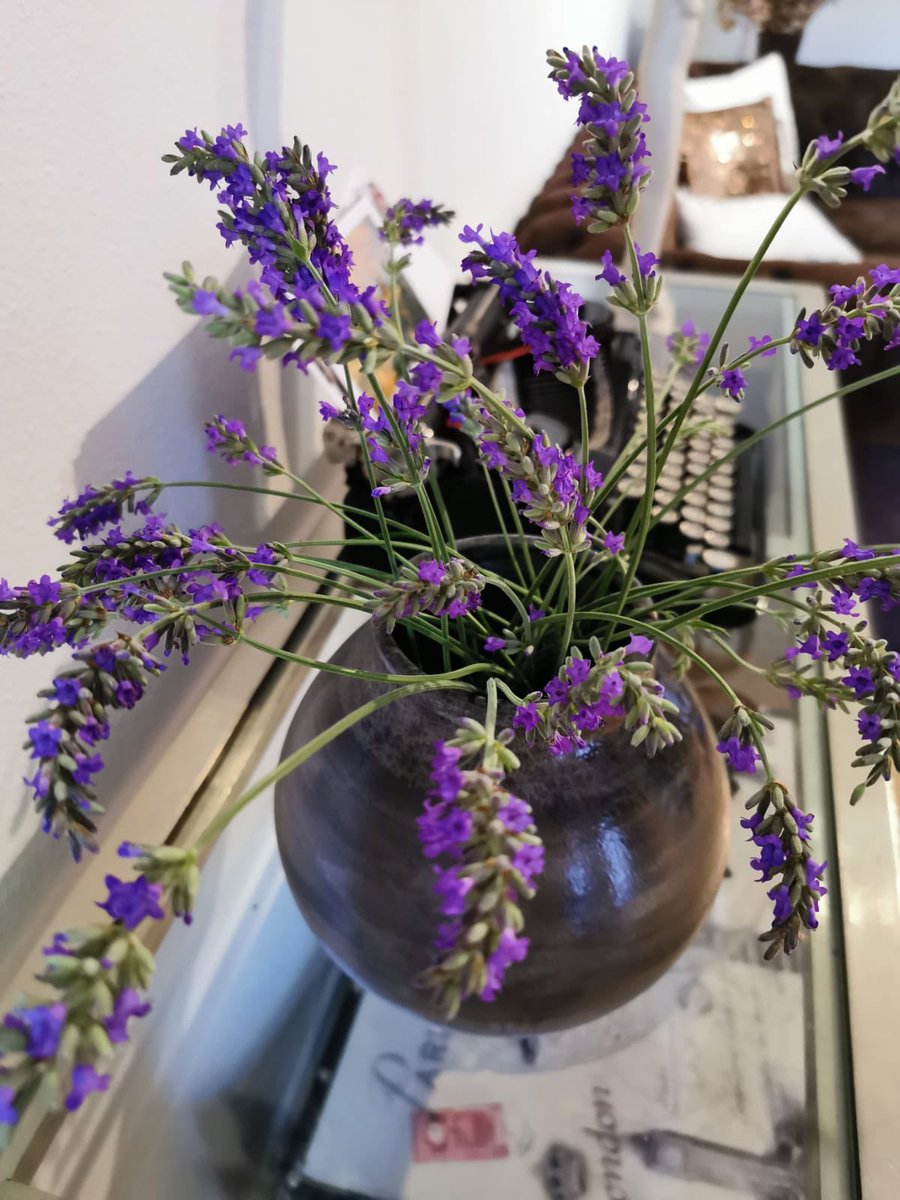 motuit's tweet photo. Mi pequeña cosecha de temporada... #jardin #lavanda #toloca https://t.co/DLAvKrqs8q