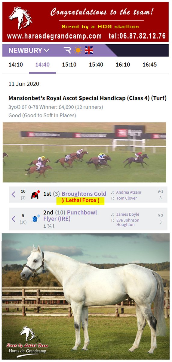 Congratulations #Broughtons Gold &amp;team, 1st Mansionbet's Royal Ascot Special Handicap, #Newbury (GB) 2020.06.11
Broughtons Gold is sired by HDG stallion #Lethal_Force
harasdegrandcamp.com/etalons/indexl…