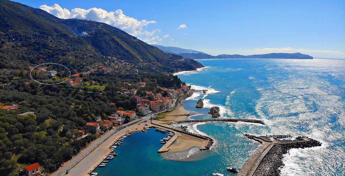 Diana_Upstart's tweet photo. L'anno prossimo vi godrete i pasti a Napoli e Pisciotta, speriamo! https://t.co/vjvXewSFI3