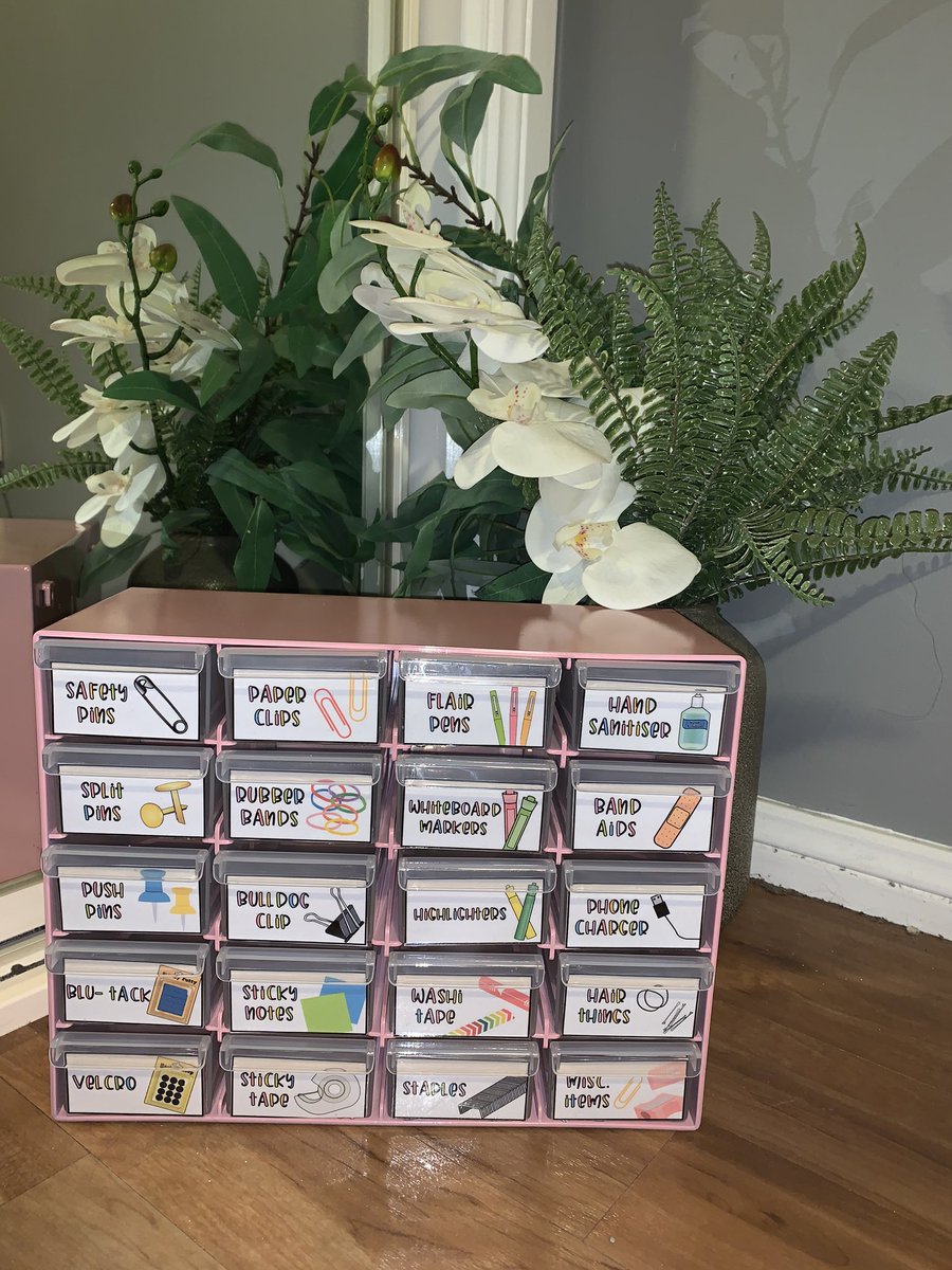 Madelaine Jones (AdventuresofmsJ) Twitter