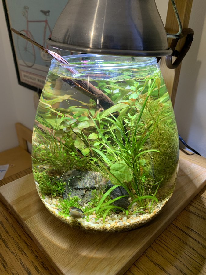 ディアウォール を活用して水槽用led照明を吊り下げ Aqua24アクアリウム