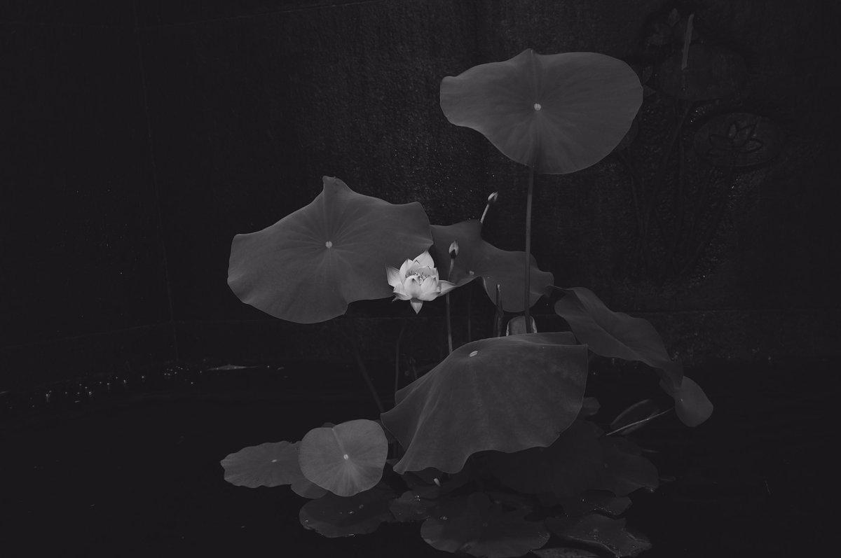 ジオラマの花