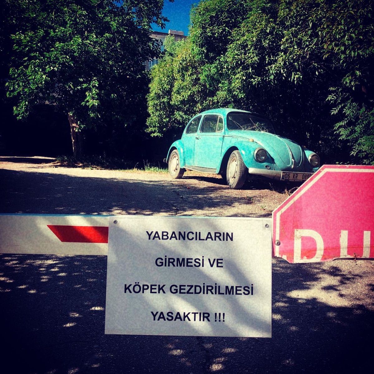 zitlarmecmuasi's tweet photo. “Açıkçası sizi orada görünce ve havaların ısınmasıyla cesaretlendim. Oğluma dedim ki “Ulaş hadi gel arka bahçeye gidelim. Birlikte ağaçlar nasıl çiçeklendi, meyveye döndü bakarız. Biraz oynarız.”Çok zor ikna oldu, çünkü günlerdir dışarı çıkmanın güvenli olmadığını anlatıyorduk.” https://t.co/kaSVONvYEi