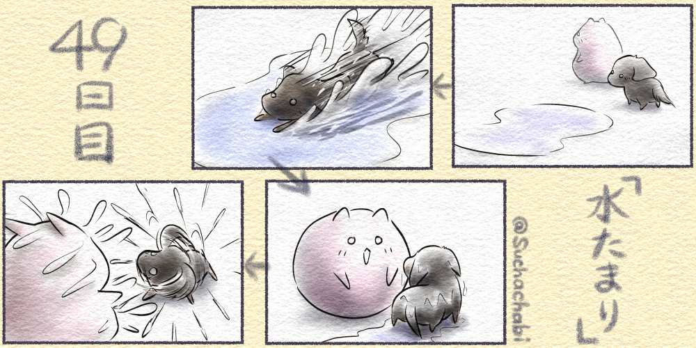 49日目 うちのわんことの思い出 ー水たまりー
#4コママンガ  #4コマ漫画  #4コマ  #落書向上委員会 #わんこ 