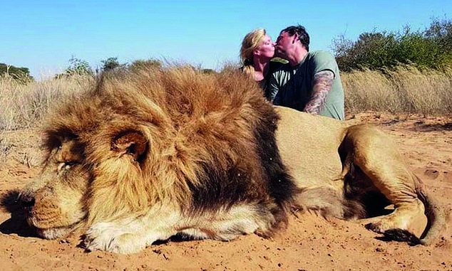 RobRobbEdwards's tweet photo. A New Pandemic?
Barbarous trade in bones from captive lions for use in Chinese 'medicines', wines and jewellery could spark risk of new pandemic
https://t.co/26Nz7bWYhc https://t.co/DzwUTJR3Ma