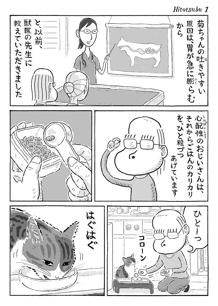 2ページ猫漫画「ひとつぶひとつぶ」 #猫の菊ちゃん 