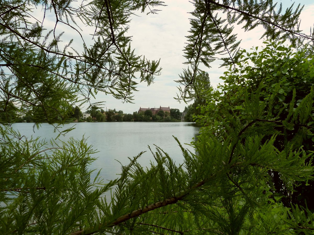 weidenroslein's tweet image. Der Wind trägt romantische Gedanken
und Gefühle hin zum Ort Deiner Sehnsucht...❤️🍀
#Potsdam #NeuerGarten #HeiligerSee #Weltkulturerbe