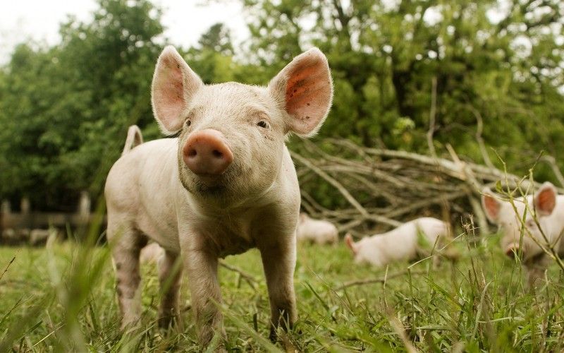 Radio 10 - AM 710 tweet media