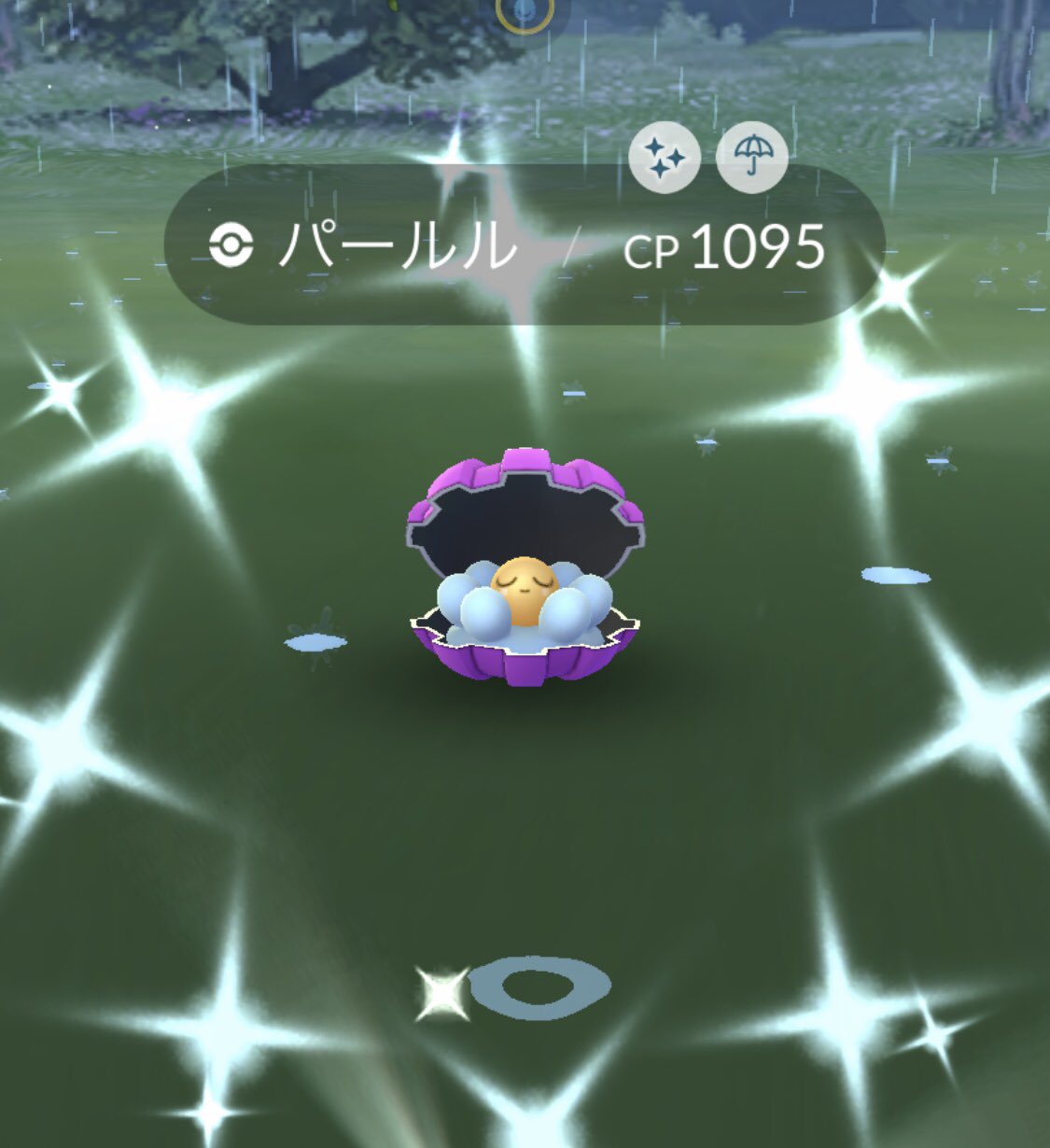 ふうちゃ ポケモンgo 久しぶりに出会ったけど 色違いだったぁ ポケモンgo 色違い パールル T Co Pbdzd6yuqu Twitter