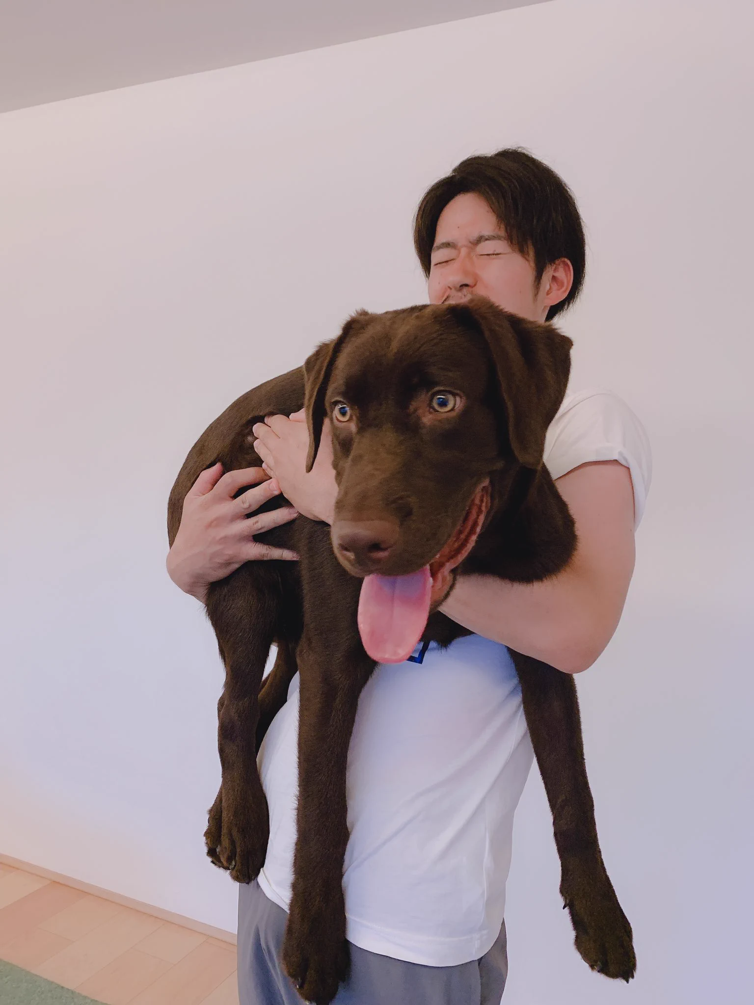 たった4ヶ月で5キロ⇒25キロへ！犬の成長は早いという事がよく分かるｗｗ