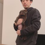 たった4ヶ月で5キロ⇒25キロへ!犬の成長は早いという事がよく分かるw