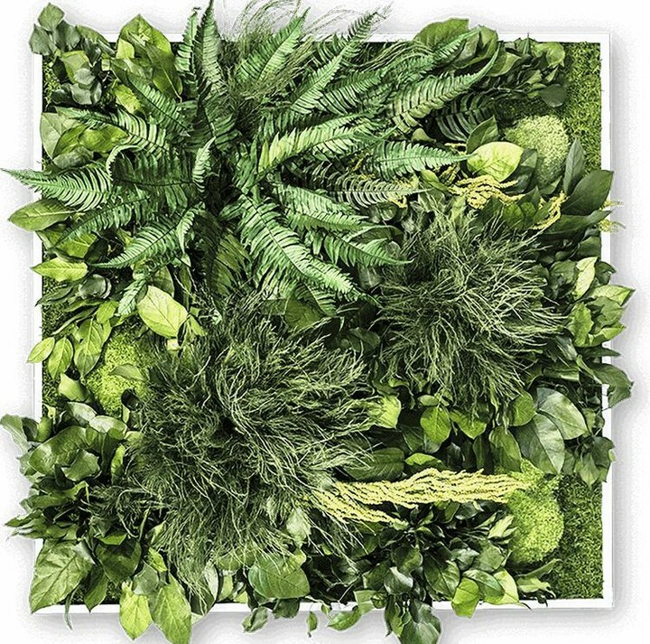 ScandiMoss on Twitter "The "Jungle" plant frame is made of forest moss