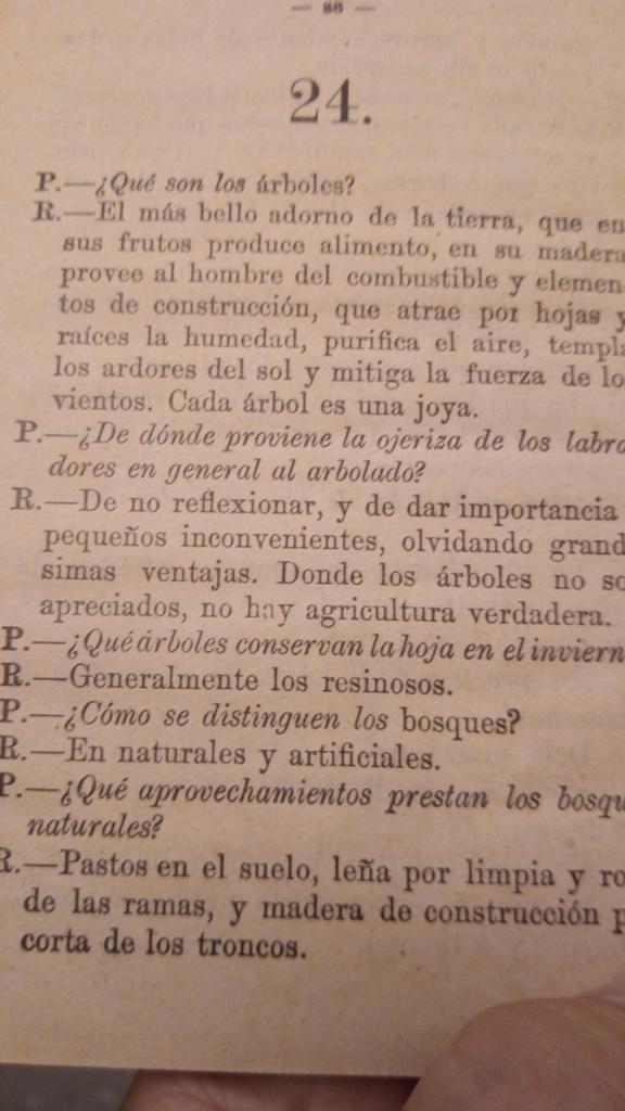 verdejomar's tweet photo. Encontrado en una publicación oficial escolar de 1903: "Cuadernos de agricultura".
"¿Qué son los árboles?...." @BosqueHabitado
#CiudadagropolitanaRadio3 https://t.co/TytNZevrQ5