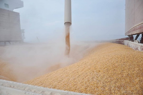 rtorussia's tweet photo. Saudi Arabia (SAGO) imports 960,000 tons of feed barley. The delivery period is from August to September 2020. 
#sago #barley #grains #grainstenders #SaudiArabia #Saudi_Arabia #SaudiArabian https://t.co/W1KNXDZfy3