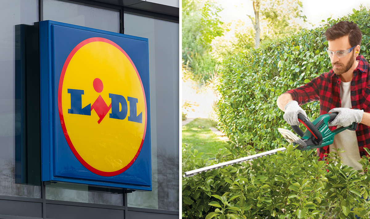 Lidl launches bargain cordless hedge trimmer in stores today and it’s