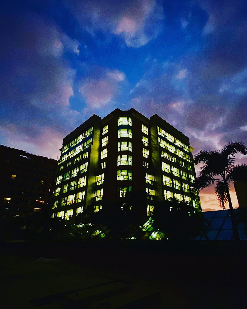 Day 2/7 of #mylifeinpictures Rules: No words. No people. Nominate someone every day. I was nominated by 
<a href="/dark_timoz478/">tamer mohsen</a> and <a href="/christinegmarco/">Christine Marco</a> 
 and today I nominate 
@HossamAlashkar  #office <a href="/orangebusiness/">Orange Business</a> in #cairo