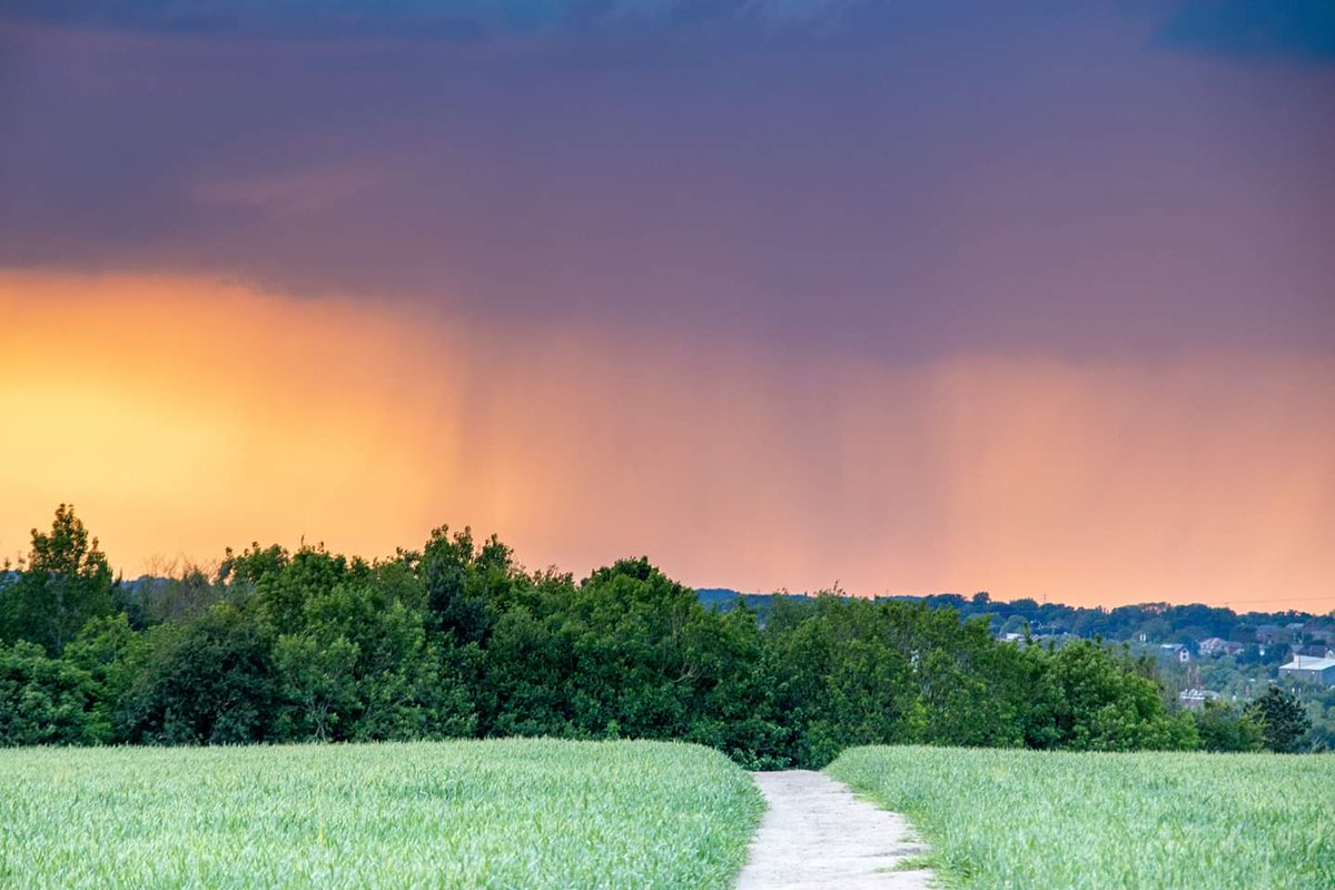 BekkerPetro's tweet image. Beautiful sky last night - walking into the storm @GranadaReports #itsthelittlethings #SkyNature