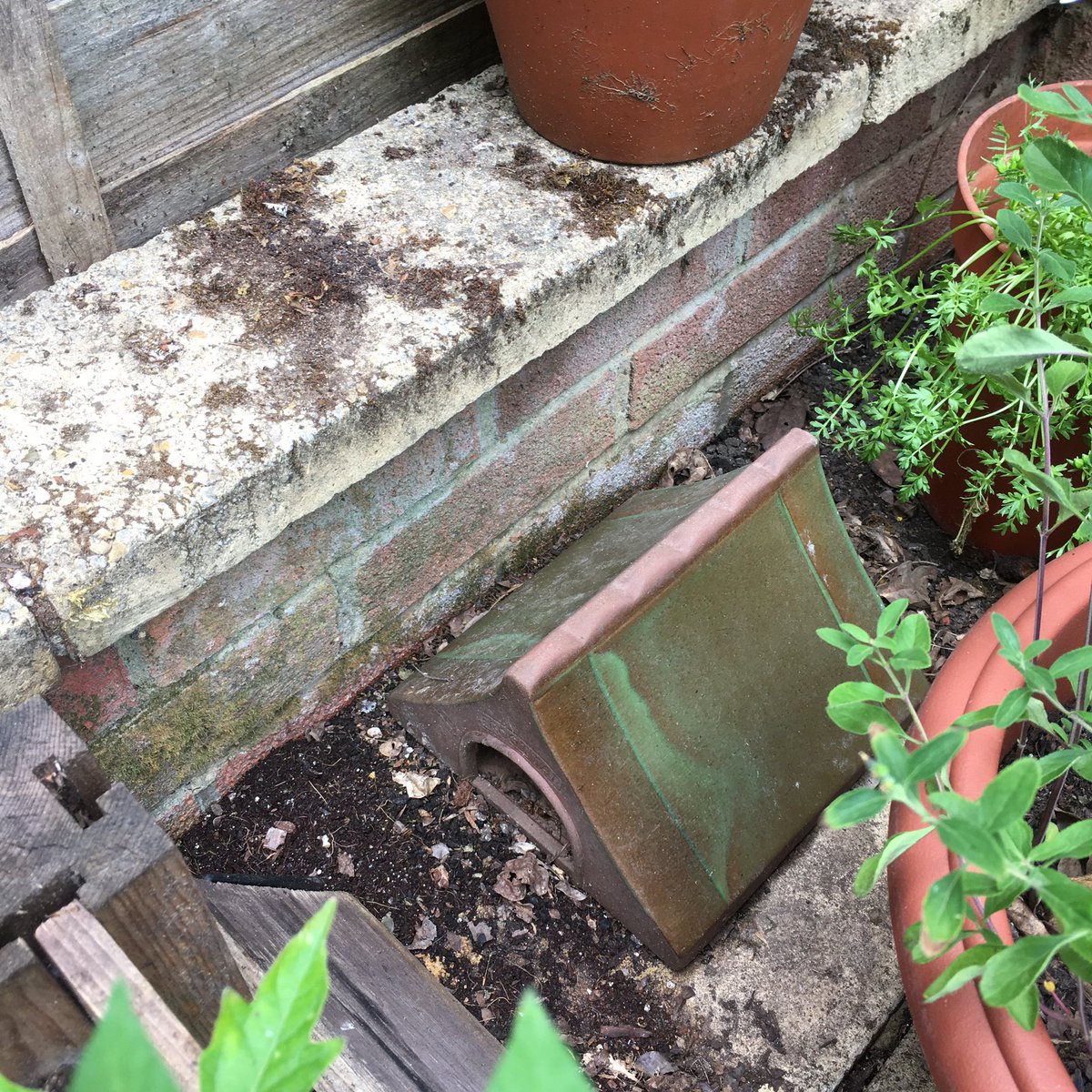 Today for  #30DaysWild a tour of the corners and creases in our garden that provide sanctuary for wildlife. A bug mansion from old bricks and tiles, a barrel pond with stone steps, a hibernarium topped with old pots and tree prunings and frog alley filled with soil and leaf litter