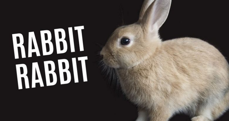 5tamey's tweet photo. Rabbit, rabbit! #DavidMenasche https://t.co/PpBBfj6fXj