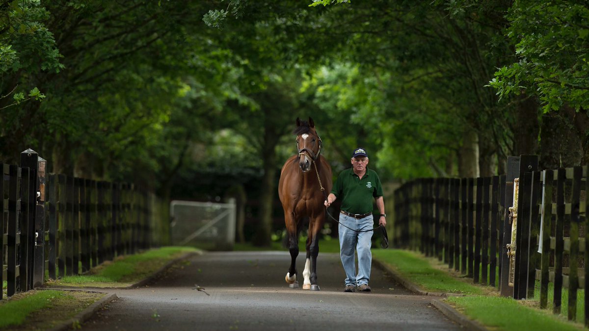 Irish National Stud (@irishnatstud) on Twitter photo Khalifa Sat, son of Free Eagle 🦅 wins the Cocked Hat Stakes <a href="/Goodwood_Races/">Goodwood Racecourse</a> for <a href="/AndrewBalding2/">Andrew Balding</a> <a href="/TomMarquand/">Tom Marquand</a> and owner Ahmad Al Shaikh
Congratulations to the winning connections including co breeder Declan Phelan 👏🏻
#JoinTheFlightClub
#ComeFlyWithUs Khalifa Sat, son of Free Eagle 🦅 wins the Cocked Hat Stakes <a href="/Goodwood_Races/">Goodwood Racecourse</a> for <a href="/AndrewBalding2/">Andrew Balding</a> <a href="/TomMarquand/">Tom Marquand</a> and owner Ahmad Al Shaikh
Congratulations to the winning connections including co breeder Declan Phelan 👏🏻
#JoinTheFlightClub
#ComeFlyWithUs