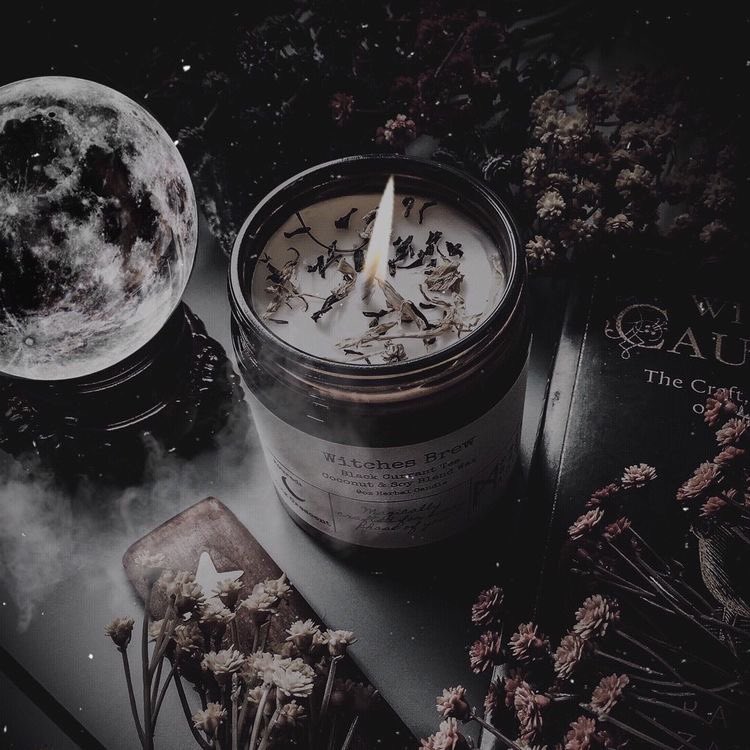 ofserpentsgirl's tweet photo. ⠀

                    𝐓𝐡𝐞 𝐅𝗼𝐫𝐭𝐮𝐧𝐞 𝐓𝐞𝐥𝐥𝐞𝐫
                  ——— • 𝗼𝐧𝐞 • ———
                        #REGISregis1

⠀ https://t.co/YpvZmVI1vG