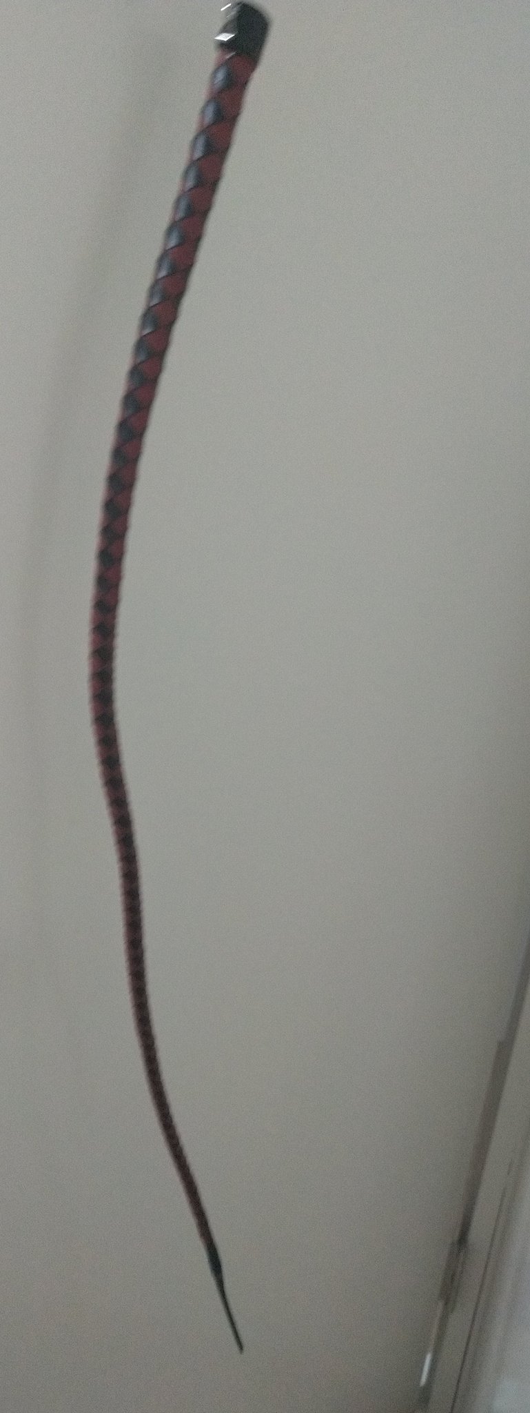 天之介 バラ鞭