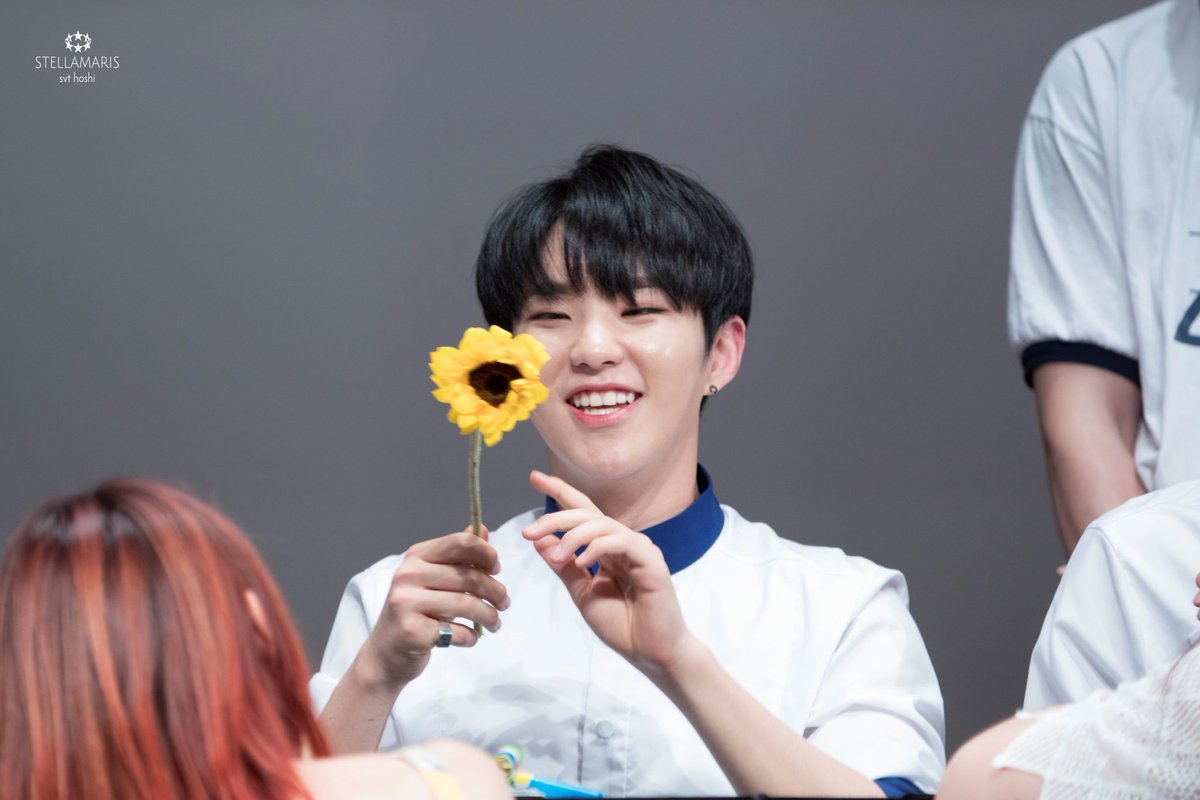 wooshualoops's tweet photo. fond* no thoughts just hoshi https://t.co/cWBUyqbdeS
