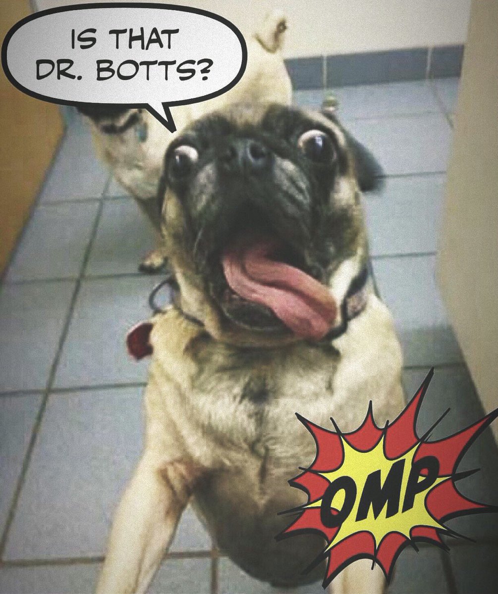 OMPRadio's tweet image. Rumors of a Dr. Botts fan club are circulating. Check out our last episode when we sat down with him and talked pets and pet care. #BottsCare