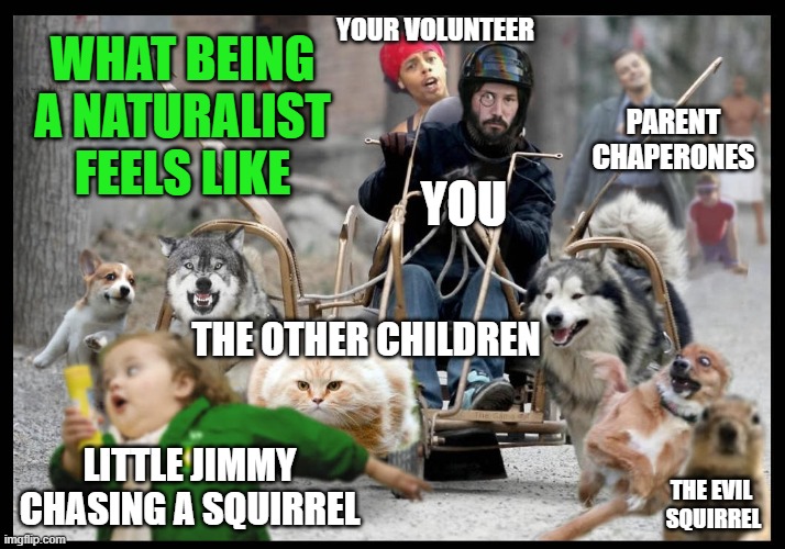 ElsaLitecky's tweet photo. So I had a #naturalist nightmare last night does anyone else feel this way when going outdoors with children sometimes?😅@outdoorclassroomday #teachers #outdoorfamilies #outdoorclassroom https://t.co/OdfWPbVqt0
