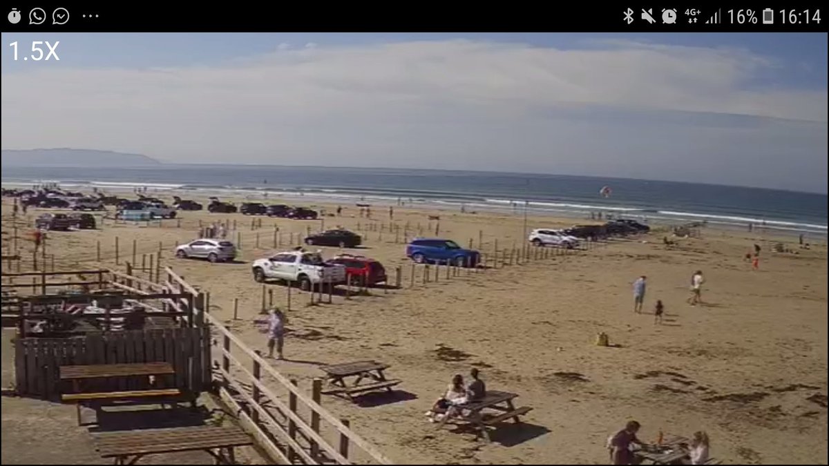 Harrys_Shack's tweet photo. Perfect day....
#ShackCam https://t.co/HJrpx13Pvs
