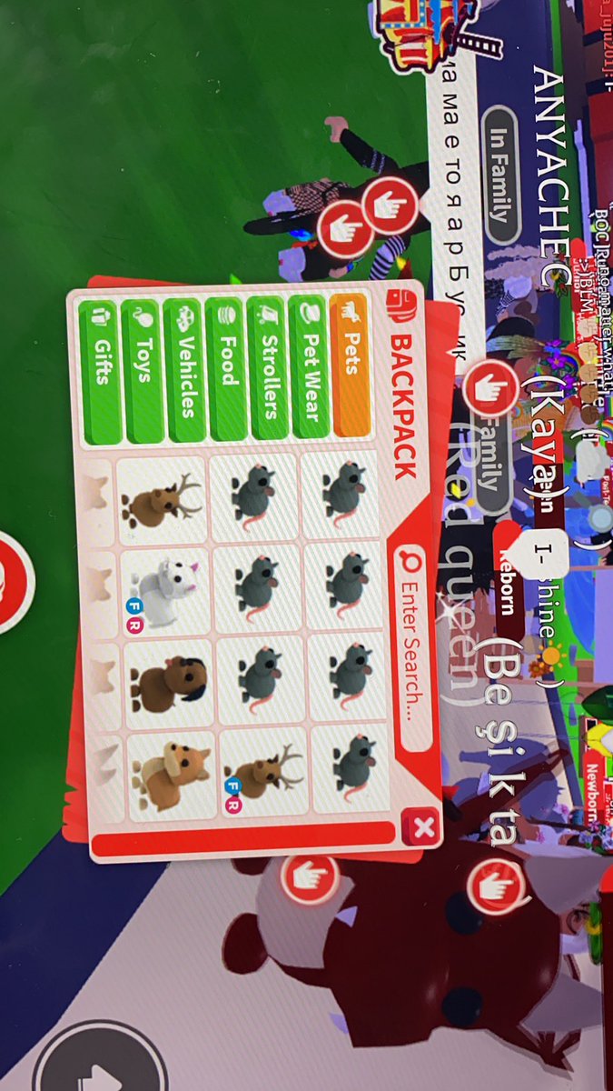 roblox28213061's tweet image. Message for offer prices🥰 #roblox #sellingroblox #selling #buying #robloxaccount #robloxadoptme #adoptme #adoptmeaccount