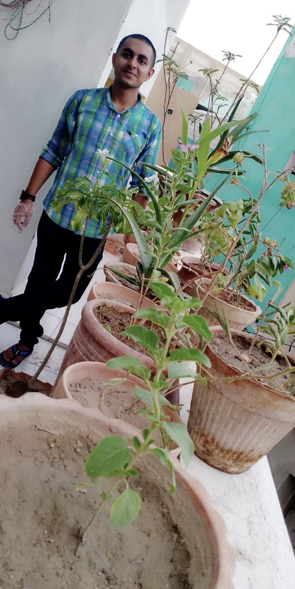 PrayWinslet's tweet photo. On the 4th day of #MSDOSINDHPlantDrive
#bhaiya 😍 introduced 4 new plants to the family😇🥳
#SweetHome🏡 @msdo_sindh
@TirathMalhi @HinaKum38594720 https://t.co/JSNKBAyE7k