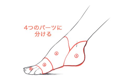 ট ইট র Forアニメーター 描き方ポイント 足の描き方 足をきれいに描くためには まず足の構造を正面 背面 側面から正確に観察します その後 それぞれの面に対して4パーツほどに足を分け それぞれに着目し描くことが大切です イラストマンガ