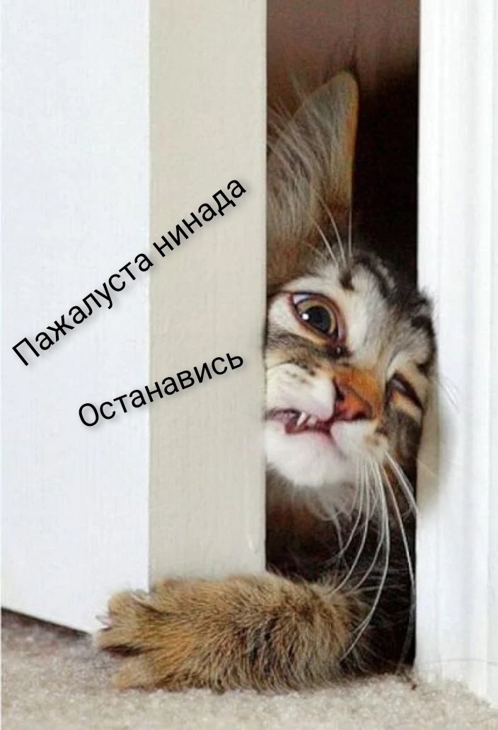 dashuta0_0's tweet photo. Бантаны: "закрывают дверь"
Я:
#BTSARMY #BangBangConTheLive
#BTS https://t.co/nqzVDd7i5u