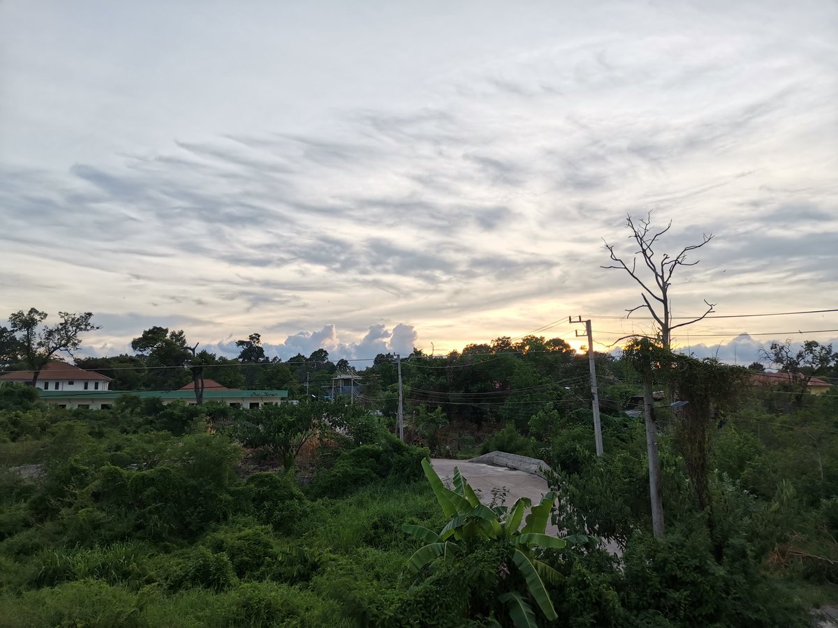 HaNatnicha's tweet photo. มุมเดิมในเย็นวันอาทิตย์
#treeandsky https://t.co/yorG1J20PE