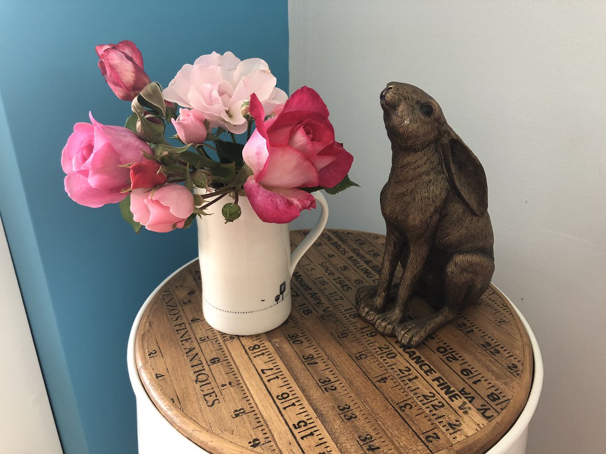 sarahwilsonOT's tweet photo. Inspired by @ChloeYFChen_OT decided to pick some roses from the garden to bring some colour inside #instantlift #wellbeing #nhftcommunity https://t.co/w8Yuqcqrmd