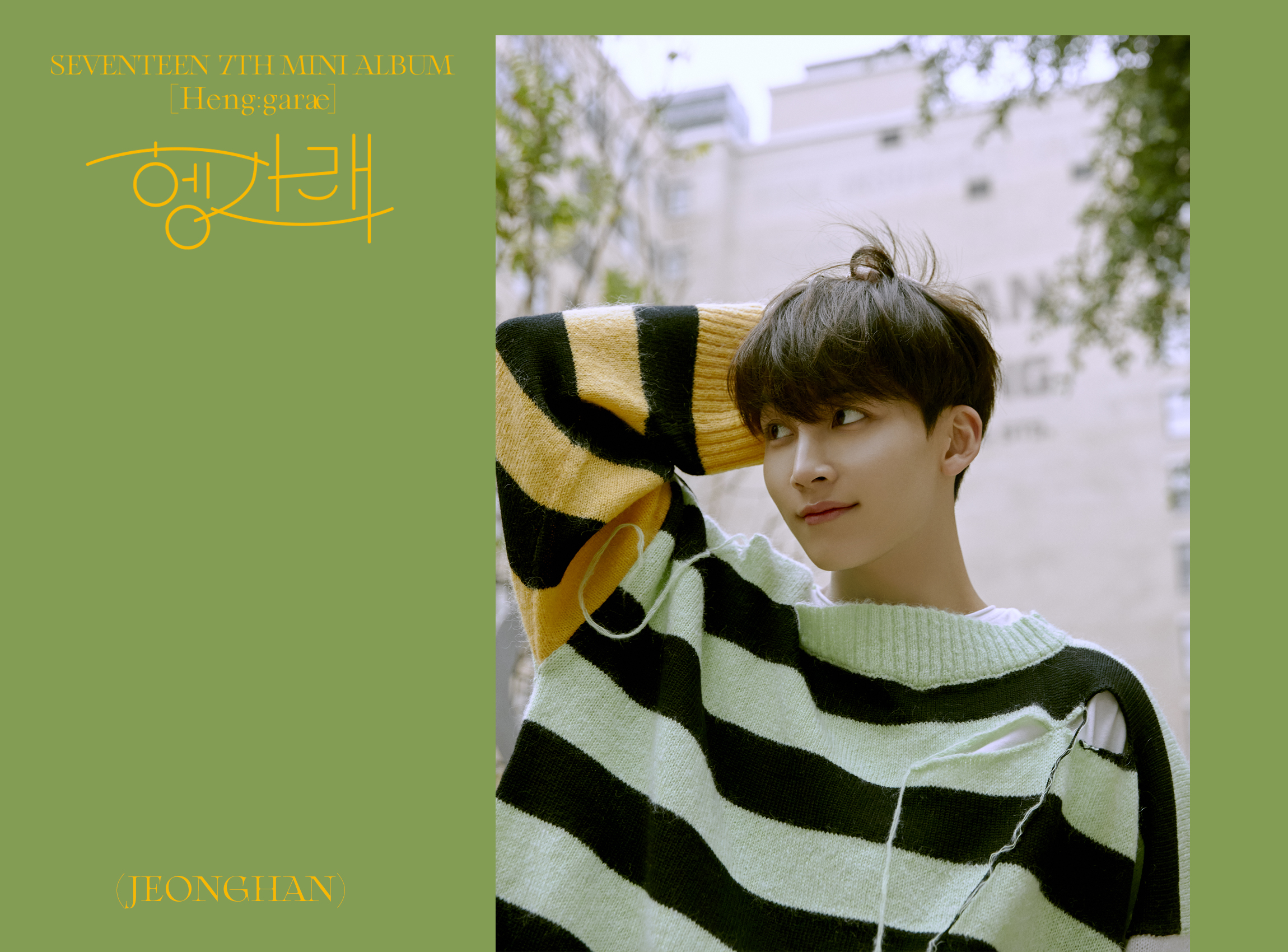 Jeonghan Seventeen Facts And Profile Jeonghan S Ideal Type Updated