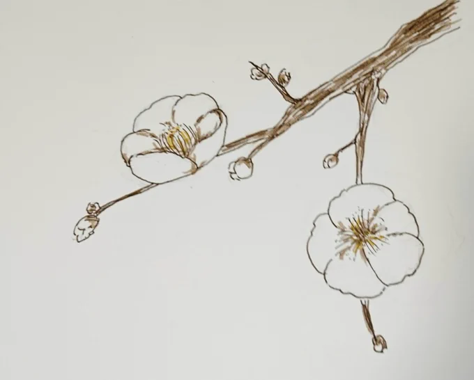 ペンで花を描いてみました。難しい (猫も少しずつ進行中) #絵の練習 #イラスト練習 #お絵描き #アナログ絵 #ペン 