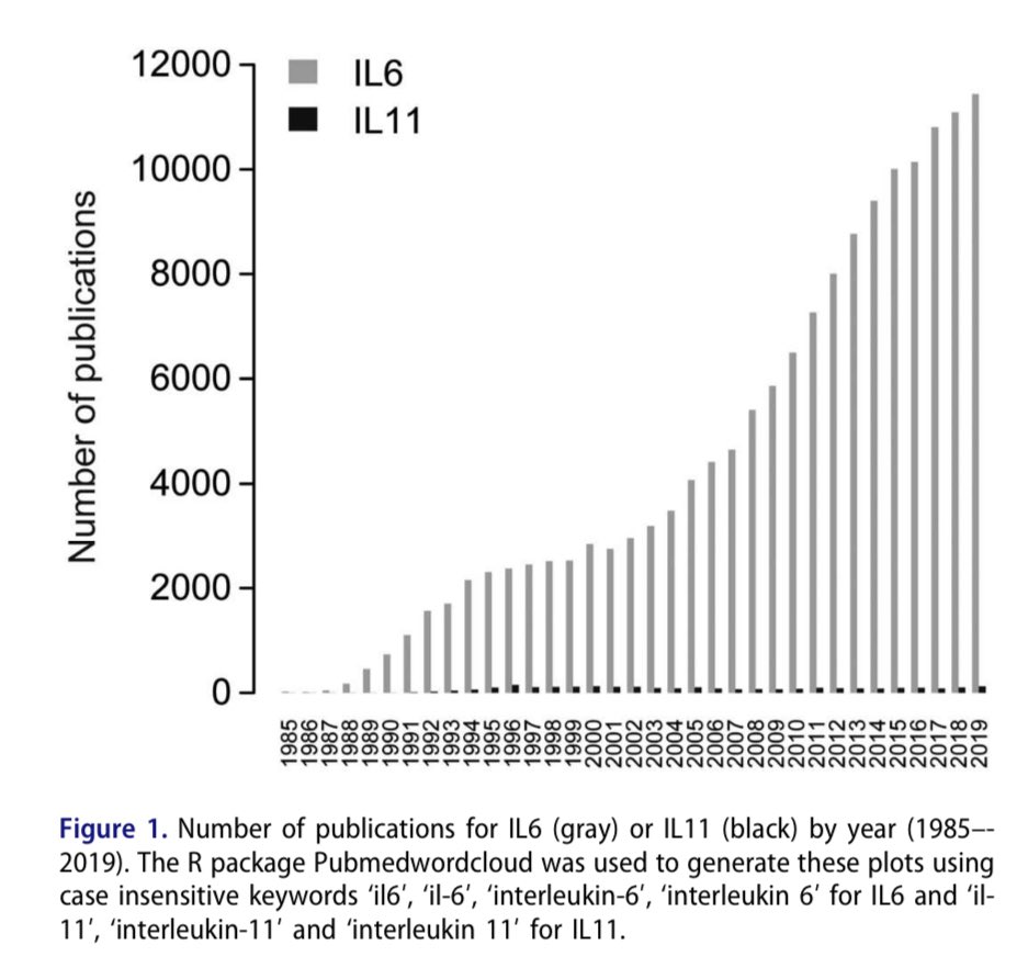 Meanwhile, in the Liver

IL6 = protective, good
IL11 = damaging, bad

And, IL6R and IL11RA expressed on completely different liver cells types. Must mean something....

The plot thickens

Discussed in our new review: 
doi.org/10.1080/216455…