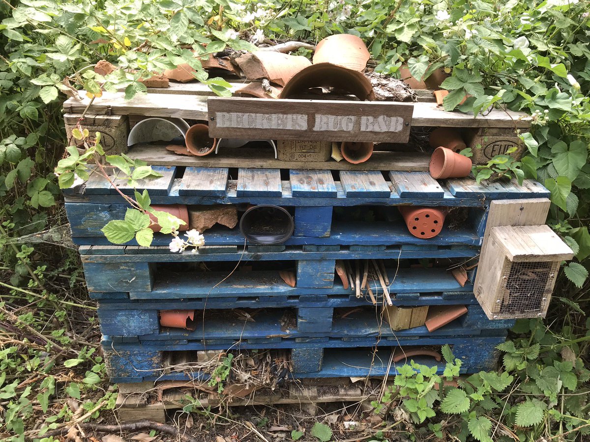 Beckets_Park's tweet photo. Good Afternoon #Northampton.
Who’s enjoying a walk in #BecketsPark🌳 today?
The #Beckets #BugHotel is next on our list for a tidy up, it’s looking a bit overgrown. Have to look after our critters
🐛🦟🕷🐞🐜🐝🦋🐀🐿 🦘
(Spot the odd one out) #LoveNorthampton💙 https://t.co/4bxahfy4oB